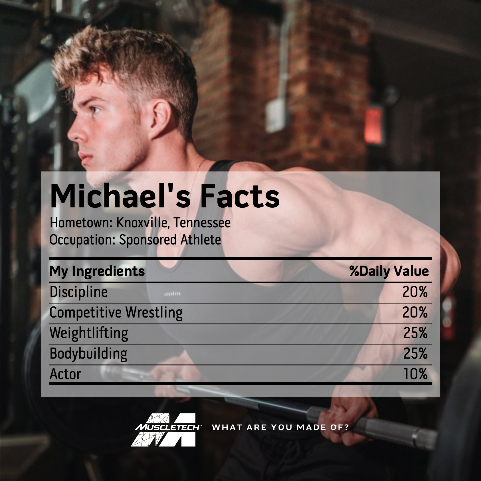 Michael's Facts