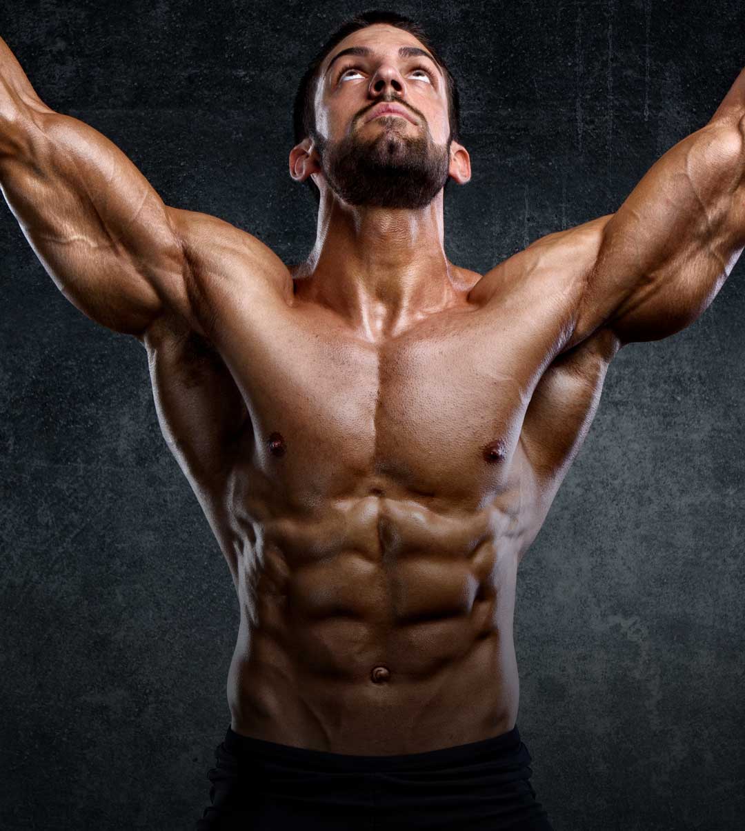 Elite Training System: Build Muscle