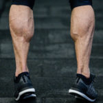 muscletech muscular calves